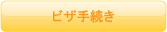 ビザ手続き
